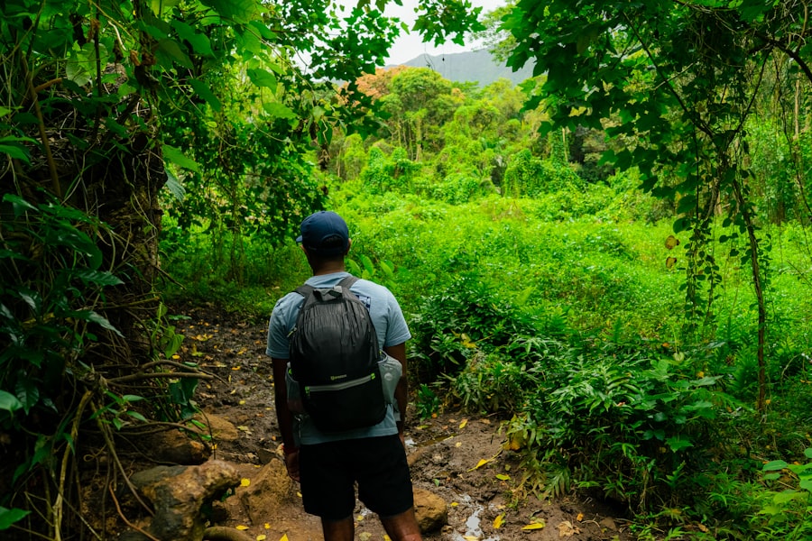 Erop uit in eigen land: Ontdek de mooiste plekjes van Nederland Erop uit in eigen land: Ontdek de mooiste plekjes van Nederland image 17 - WebGids.be