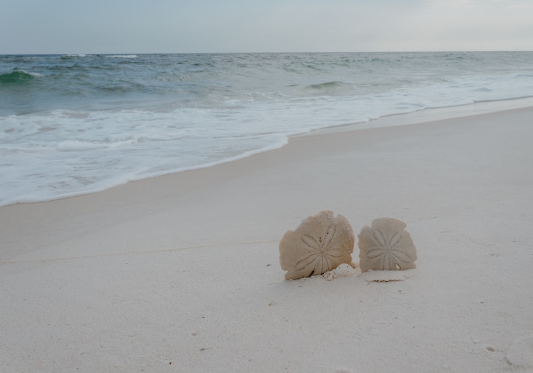 Top vakantiebestemmingen voor autistische reizigers Photo Quiet beach